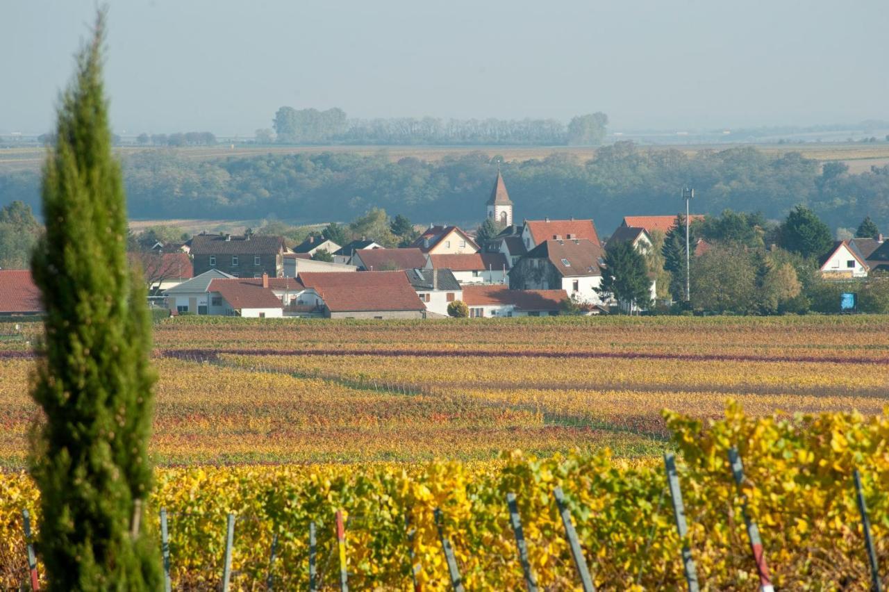 Gaestehaus & Weingut Peth Florsheim-Dalsheim エクステリア 写真